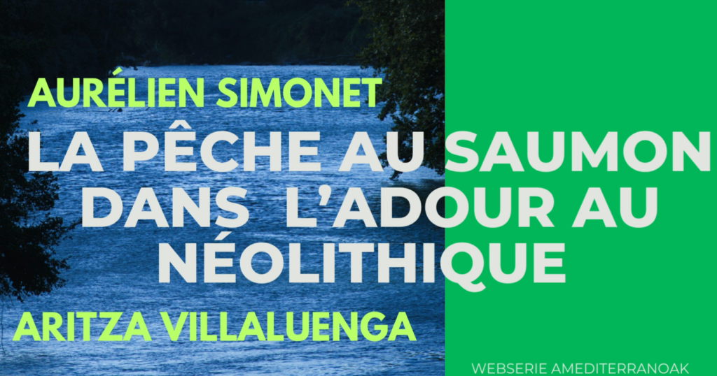video-saumon-Adour