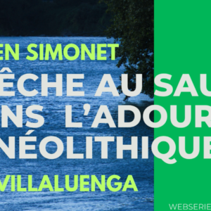 video-saumon-Adour