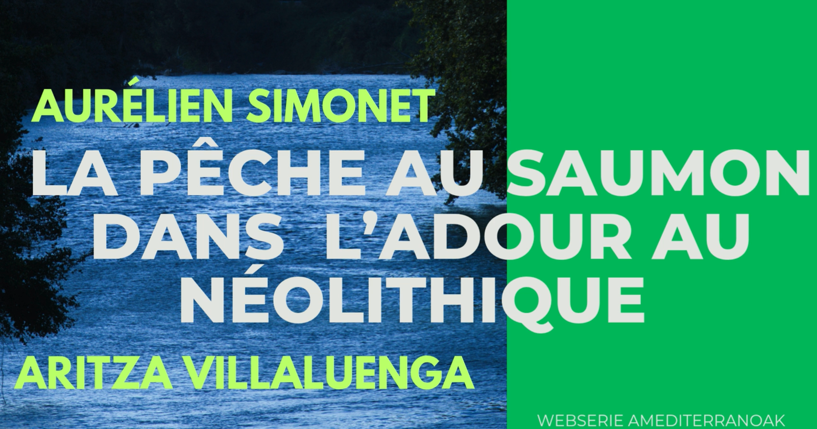 video-saumon-Adour – Image 1